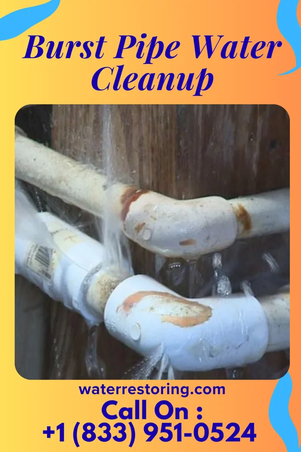 Burst Pipe Water Cleanup in Applegate, MI