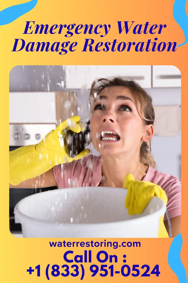 Emergency Water Damage Restoration in Applegate, MI