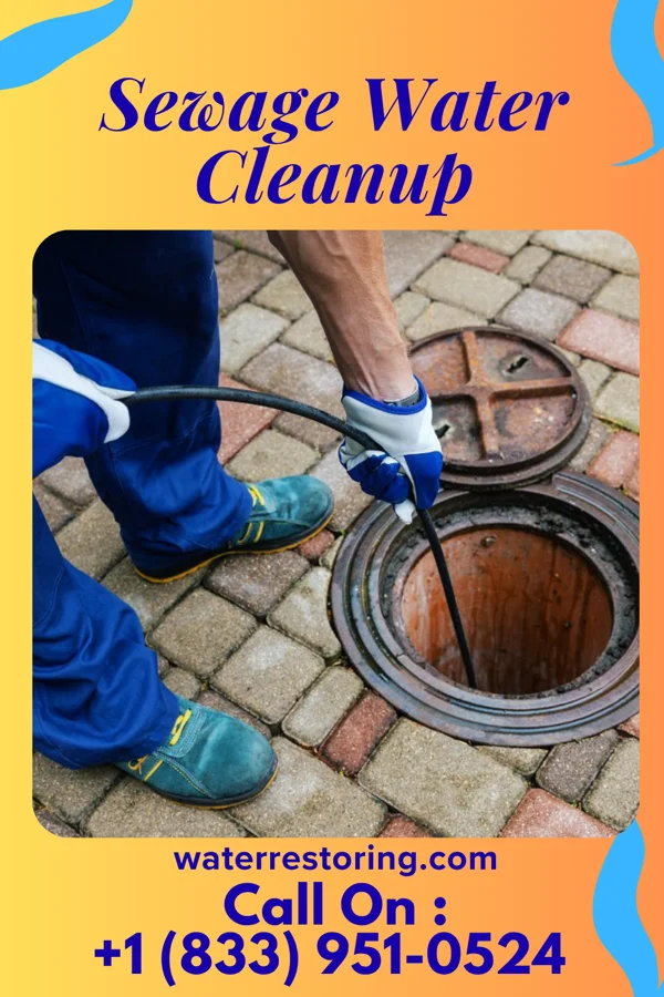 Sewage Water Cleanup in Applegate, MI