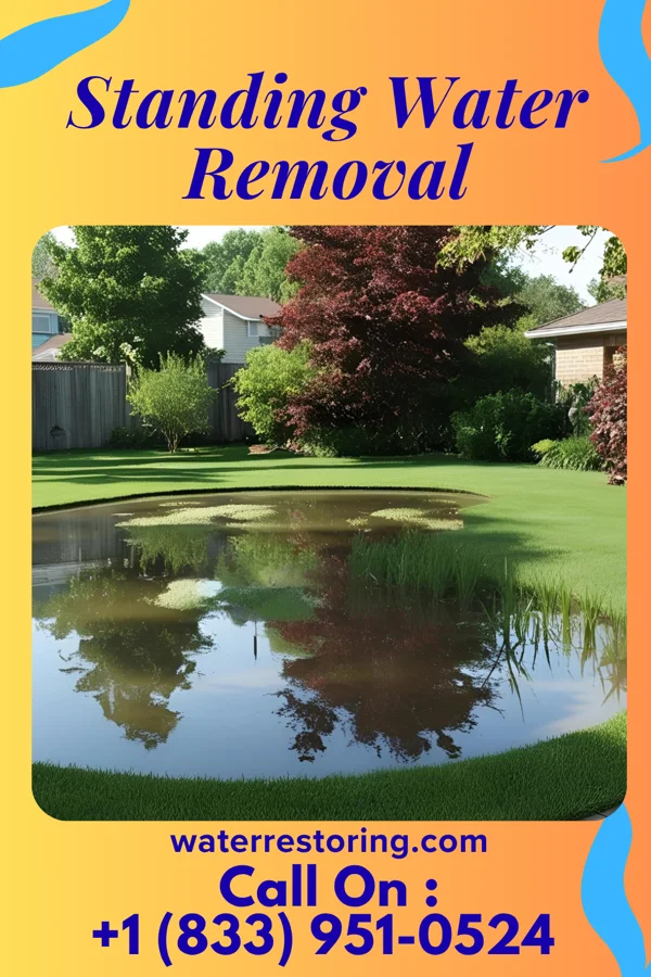 Standing Water Removal in Applegate, MI